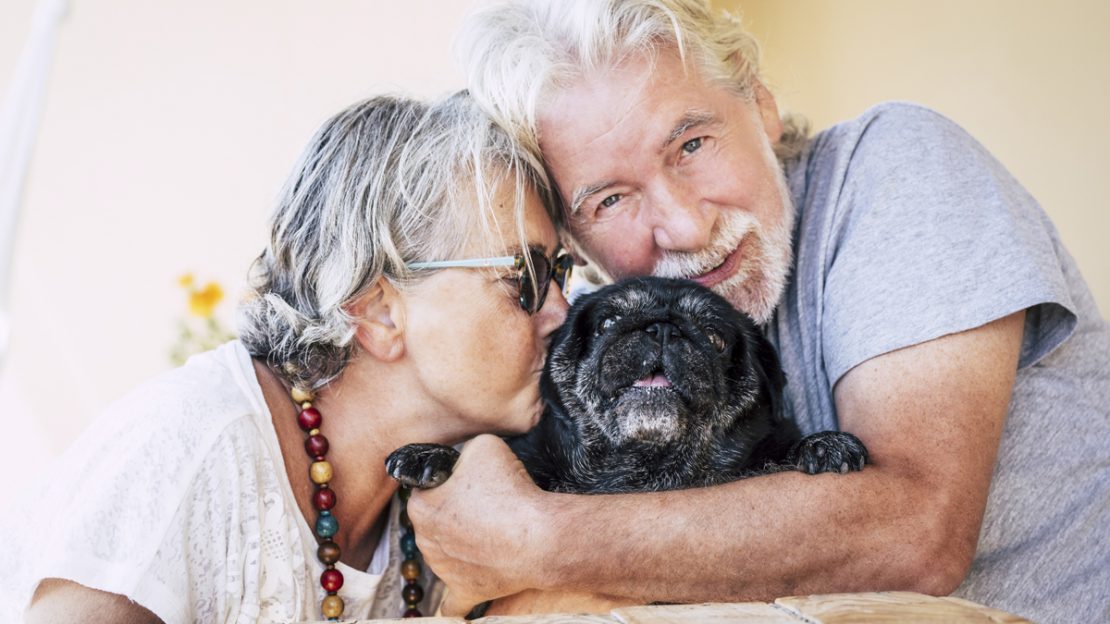Top-5-Best-Dog-Breeds-For-Seniors-1110X624